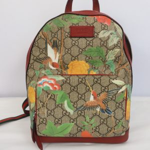 Gucci, GG Supreme Monogram Tian Web Small Day Backpack Beige Multicolor Red