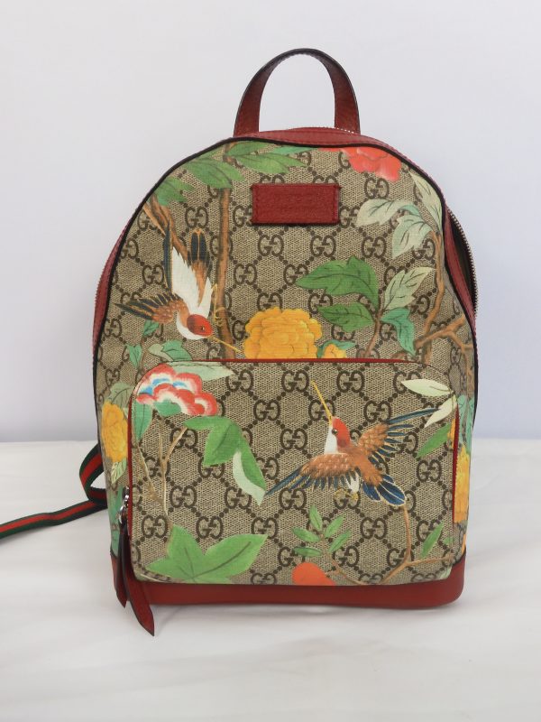Gucci, GG Supreme Monogram Tian Web Small Day Backpack Beige Multicolor Red