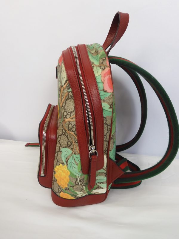 Gucci, GG Supreme Monogram Tian Web Small Day Backpack Beige Multicolor Red - Image 3