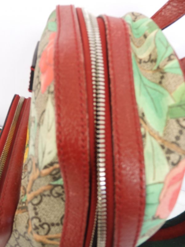 Gucci, GG Supreme Monogram Tian Web Small Day Backpack Beige Multicolor Red - Image 4