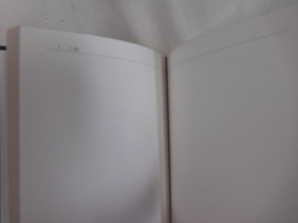 Christian Louboutin Cario Loubi Diary - Image 4